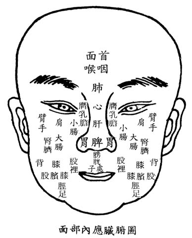 顔面気色診図