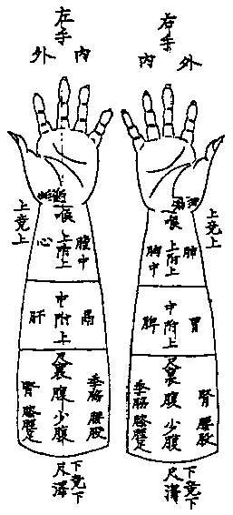 尺膚診の図