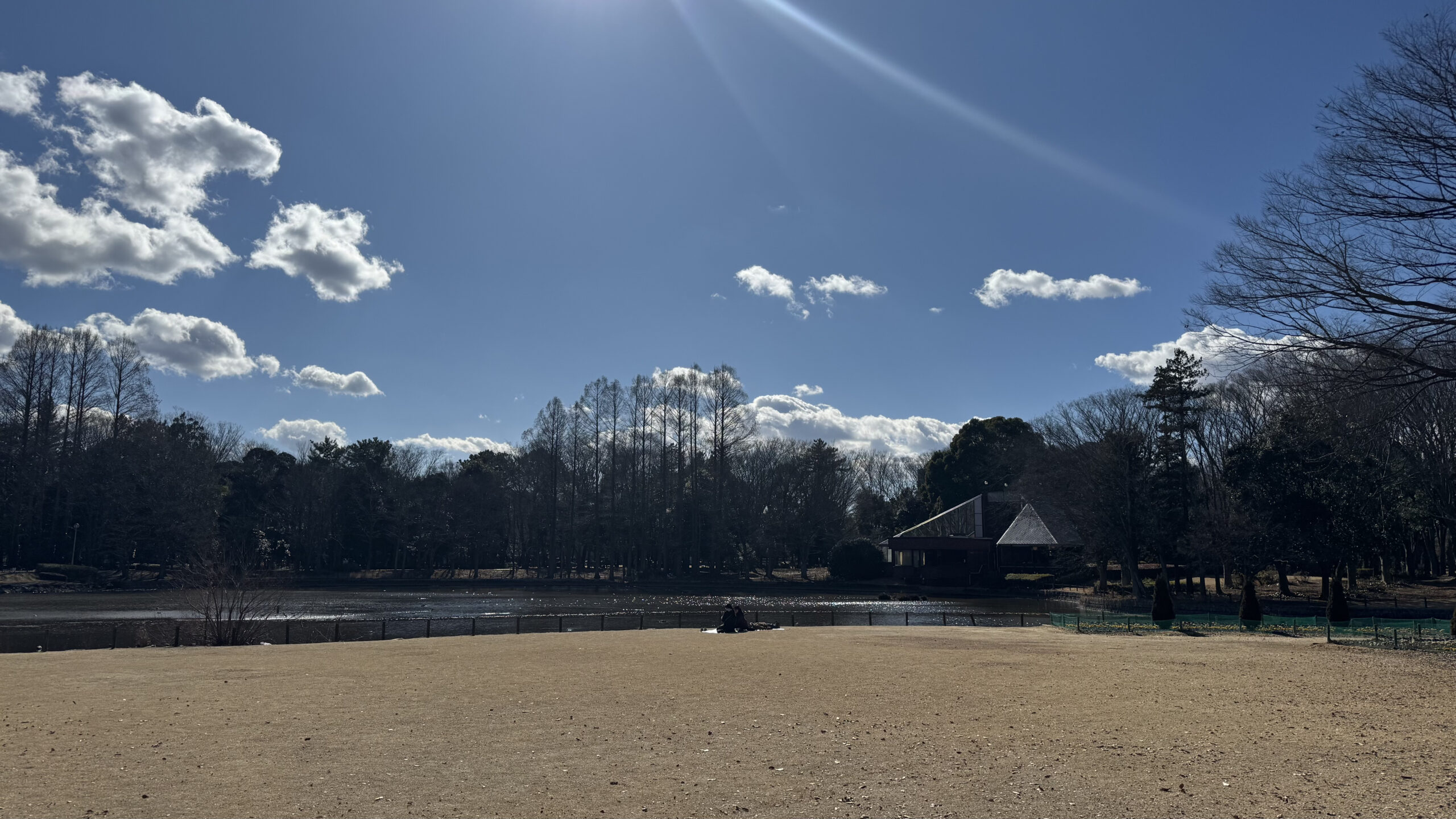 初春の公園の写真