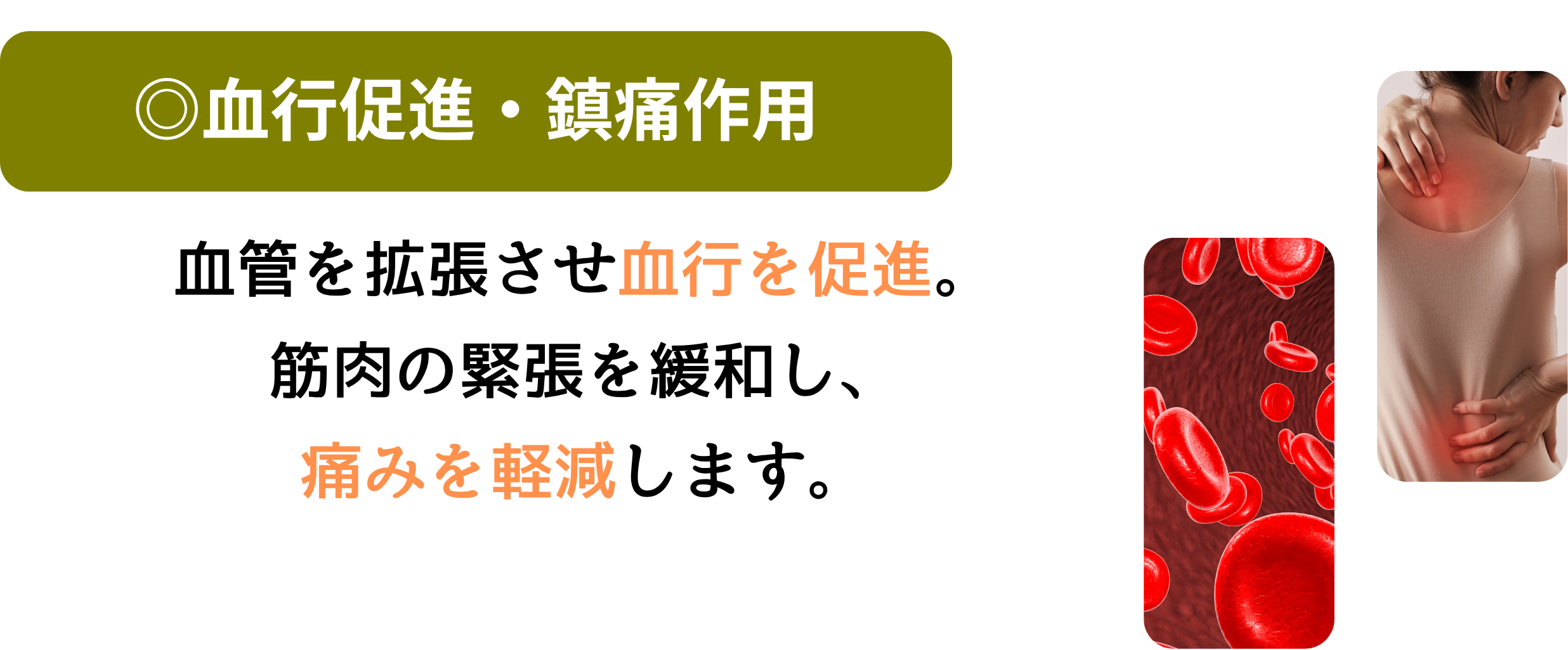 血行促進・鎮痛作用